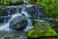 Forest stream in rainforest. Waterfall among mossy rocks and greenery. Mountain river on summer day Royalty Free Stock Photo