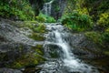 Forest stream in rainforest. Waterfall among mossy rocks and greenery. Mountain river on summer day. Nature landscape Royalty Free Stock Photo