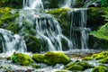 Waterfall among mossy rocks and greenery. Mountain river on summer day. Nature landscape with Royalty Free Stock Photo