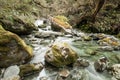 Forest stream at Routeburn Track, New Zealand
