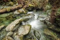 Forest stream at Routeburn Track, New Zealand