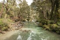 Forest stream at Routeburn Track, New Zealand
