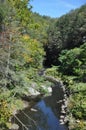 Forest stream, Scranton, Pennsylvania Royalty Free Stock Photo