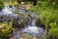 Forest stream with small waterfall, moss-covered stones and green grass. Close-up. Royalty Free Stock Photo