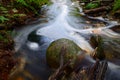 Forest Stream - South Africa Royalty Free Stock Photo