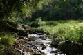 Forest Stream - South Africa Royalty Free Stock Photo