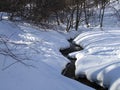 Forest stream among trees in winter Royalty Free Stock Photo