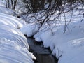 Forest stream among trees in winter Royalty Free Stock Photo