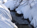 Forest stream among trees in winter Royalty Free Stock Photo