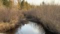 A forest stream in the Upper Peninsula of Michigan in the fall Royalty Free Stock Photo