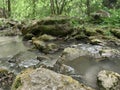 Forest stream with a waterfall among gray stones. On the stones are yellow and green moss and lichens. Around trees and