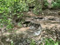 Forest stream with a waterfall among gray stones. On the stones are yellow and green moss and lichens. Around the plant