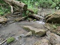 Forest stream with a waterfall among gray stones. On the stones are yellow and green moss and lichens. Felled tree