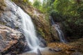 Forest stream waterfall. Waterfall mossy rocks