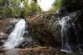 Forest stream waterfall. Waterfall mossy rocks