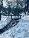 Forest streem with mall bridge in winter day Royalty Free Stock Photo