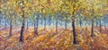 Forest strewn with yellow leaves. Trees in Fall