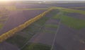 Forest strip between fields and small plots with crops in the ravine, evening above the village Royalty Free Stock Photo