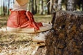 A forest stump on which mushrooms grow. A child in red sneakers stands on a mushroom grown from a stump. Close-up Royalty Free Stock Photo