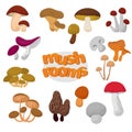 Forest summer and autumn cartoon edible mushrooms vector set