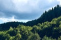 Forest in summer. Mountains hills landscape during a sunny day blue sky clouds. Dark autumn trees. Hiking in wild