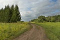 Forest, sun, summer road Royalty Free Stock Photo