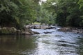 Tennessee Smoky Mountains In Summer