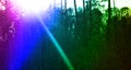 Forest sun's rays pierced Royalty Free Stock Photo