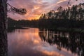 Forest at sunset over the lake Royalty Free Stock Photo