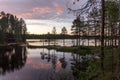 Forest at sunset over the lake Royalty Free Stock Photo