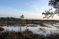 Forest swamp lake on a spring evening before sunset Royalty Free Stock Photo