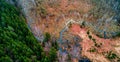 Forest swamp, trees and water, aerial