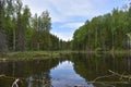 Forest lake where the goblin lives nymphs and mermaids