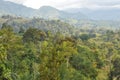 Forest in Tanzania Royalty Free Stock Photo