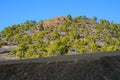 Forest In Teide National Park Tenerife Royalty Free Stock Photo