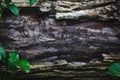 Forest themed tree log background for title text