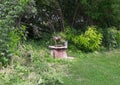 In the forest there is an old abandoned well with a bucket for water Royalty Free Stock Photo