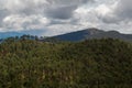 forest from the top of mount tlaloc mexico Royalty Free Stock Photo