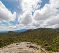 forest from the top of mount tlaloc mexico Royalty Free Stock Photo