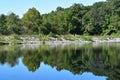 Forest totally reflected on a calm lake