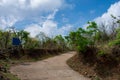 Forest Track Landscape with Trees, Blue Sky and White Clouds