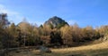 Forest track and the mountain sight in the back