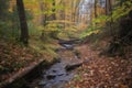 forest trail with autumn foliage and babbling brook