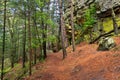 Forest Trail and Butte at Castle Mound Royalty Free Stock Photo