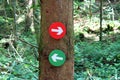 Forest trail Directions