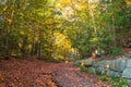 Forest Trail in the Fall Royalty Free Stock Photo