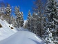 Forest trail, hiking path covered with smooth thick snow in sunny winter day with mountain and blue sky background. Austria. Royalty Free Stock Photo