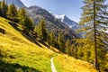 Forest trail, Mont Blanc mountain summit landscape, Chamonix Royalty Free Stock Photo