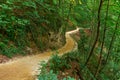 Forest Trail in Plitvice, Croatia Royalty Free Stock Photo