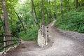 Forest trail, The Road Less Travelled by Robert Fr